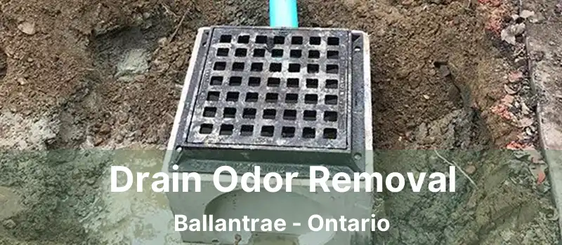  Drain Odor Removal Ballantrae - Ontario