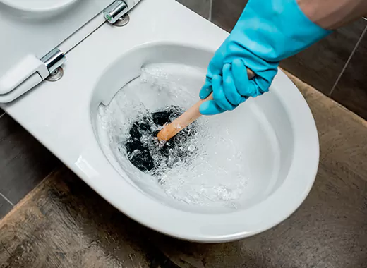 Drain Power Flush Services in Ballantrae, ON