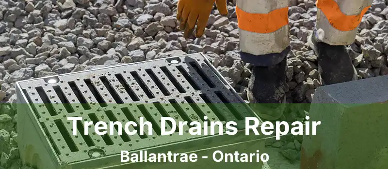  Trench Drains Repair Ballantrae - Ontario